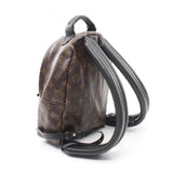 Louis Vuitton Palm Springs Monogram Backpack