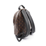Louis Vuitton Palm Springs PM Monogram Coated Canvas Backpack