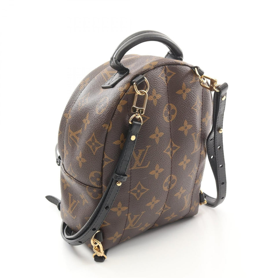 Louis Vuitton Palm Springs Mini Monogram Coated Canvas Backpack