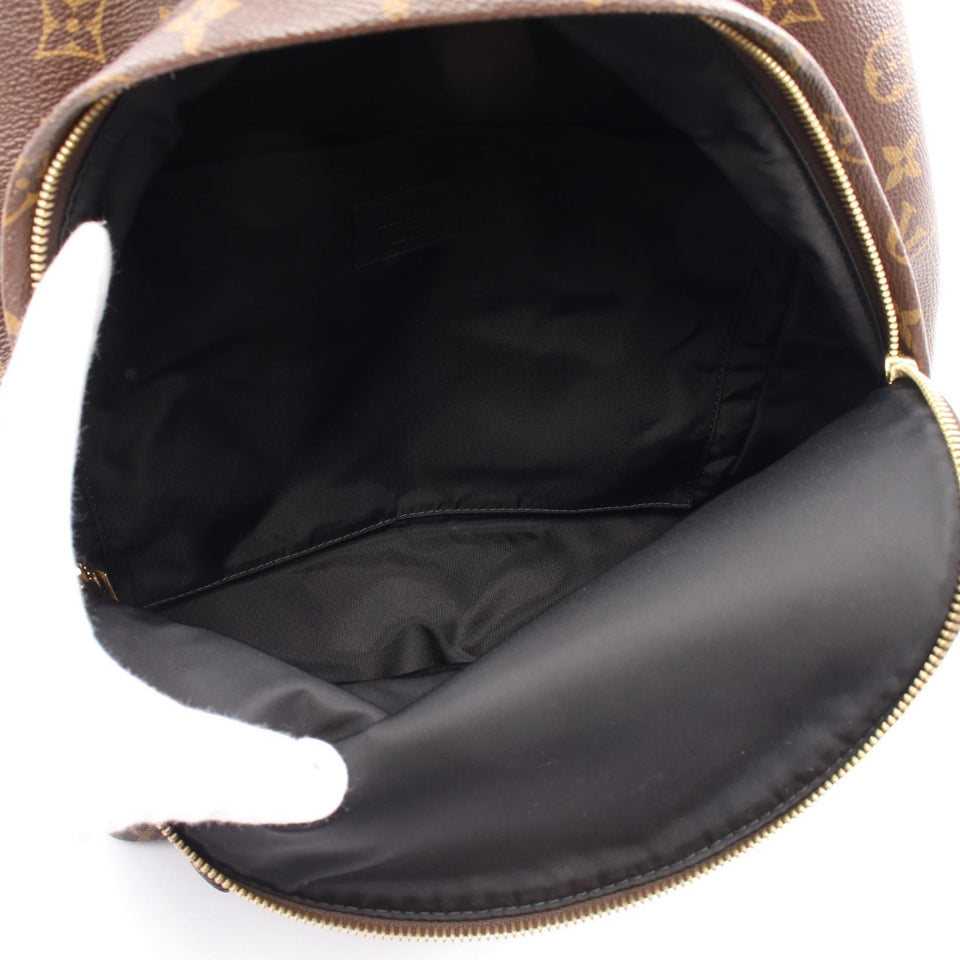 Louis Vuitton Palm Springs Backpack Monogram Backpack