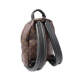Louis Vuitton Palm Springs PM Monogram Backpack