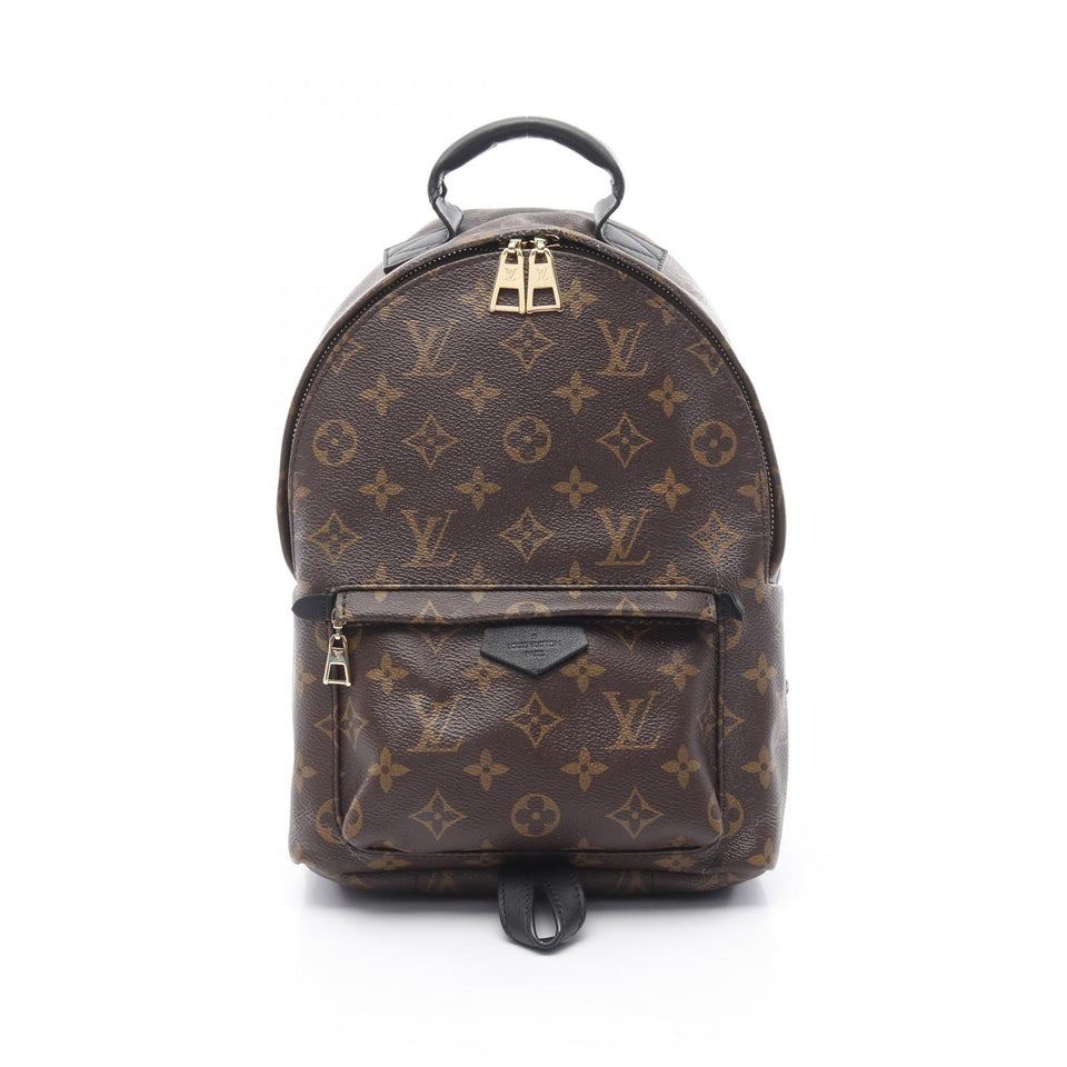 Louis Vuitton Palm Springs Backpack Monogram Backpack