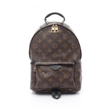 Louis Vuitton Palm Springs Backpack Monogram Backpack