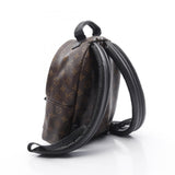 Louis Vuitton Palm Springs Backpack Monogram Backpack