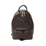 Louis Vuitton Palm Springs Monogram Backpack