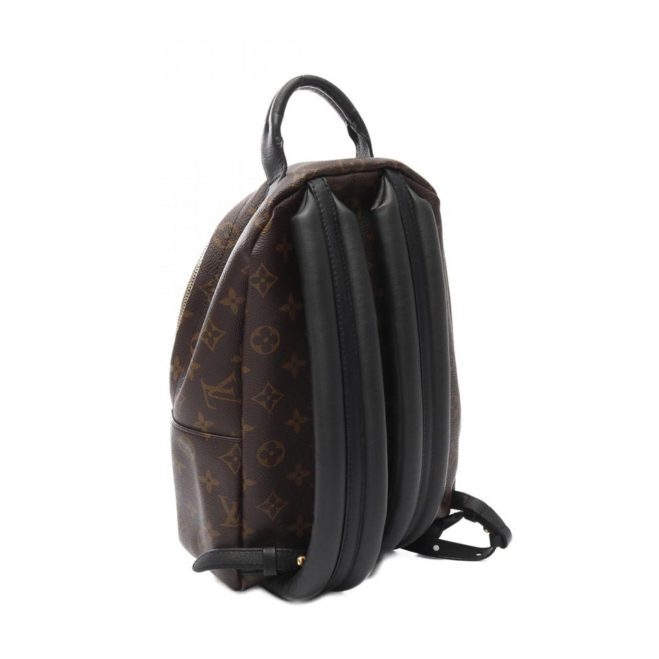 Louis Vuitton Palm Springs Monogram Backpack