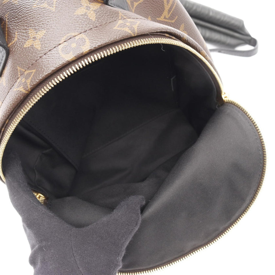 Louis Vuitton Palm Springs Monogram Backpack