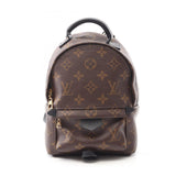 Louis Vuitton Palm Springs Mini Monogram Coated Canvas Backpack