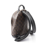 Louis Vuitton Palm Springs PM Monogram Coated Canvas Backpack