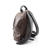 Louis Vuitton Palm Springs Backpack Monogram Backpack