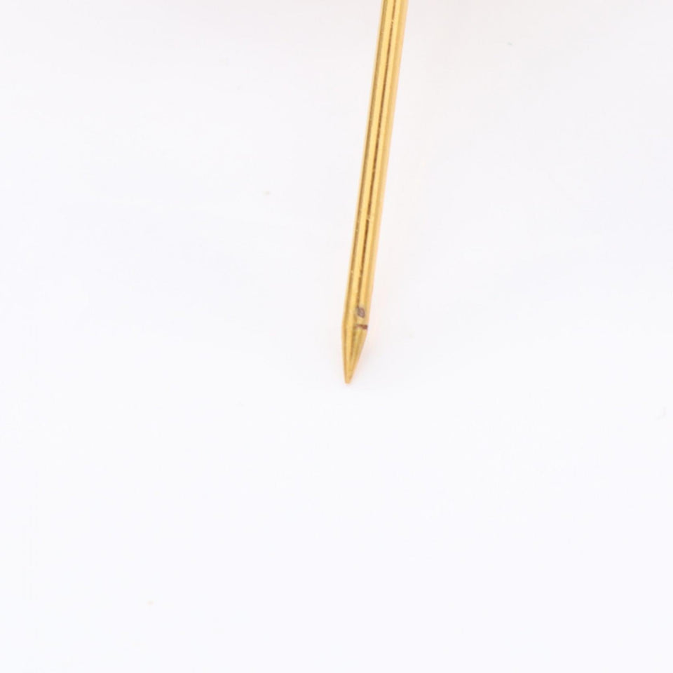 Chanel Coco Mark Brooch Accessory