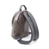 Louis Vuitton Palm Springs PM Monogram Coated Canvas Backpack
