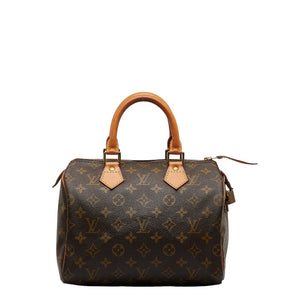 Louis Vuitton Monogram Mini Handbag