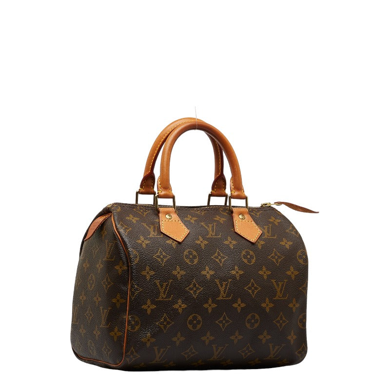 Louis Vuitton Monogram Mini Handbag
