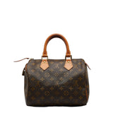Louis Vuitton Monogram Mini Handbag