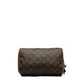 Louis Vuitton Monogram Mini Handbag