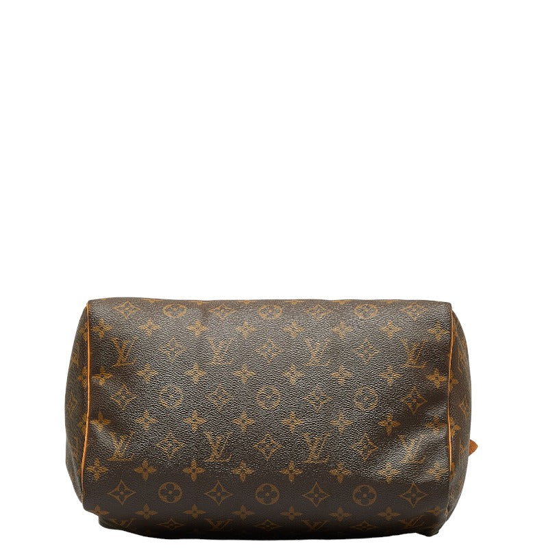 Louis Vuitton Monogram Handbag