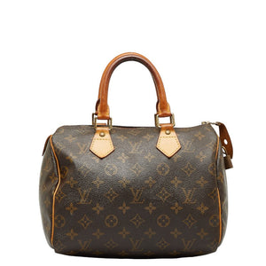 Louis Vuitton Monogram Handbag Mini Boston Bag