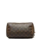 Louis Vuitton Monogram Handbag Mini Boston Bag