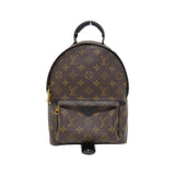 Louis Vuitton Palm Springs Monogram Backpack