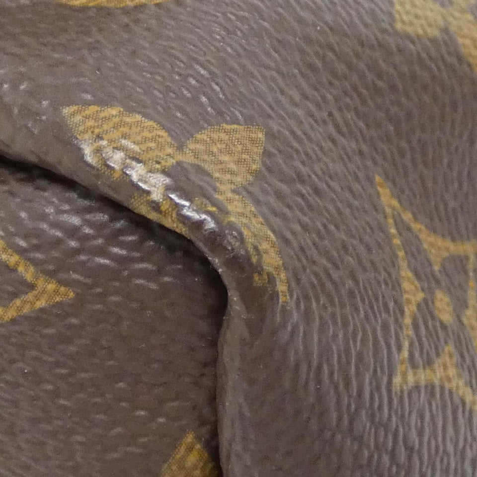 Louis Vuitton Palm Springs Monogram Backpack