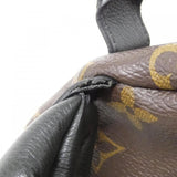 Louis Vuitton Palm Springs Monogram Backpack