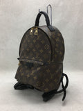 Louis Vuitton Palm Springs Backpack PM Monogram Brown