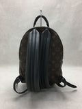 Louis Vuitton Palm Springs Backpack PM Monogram Brown
