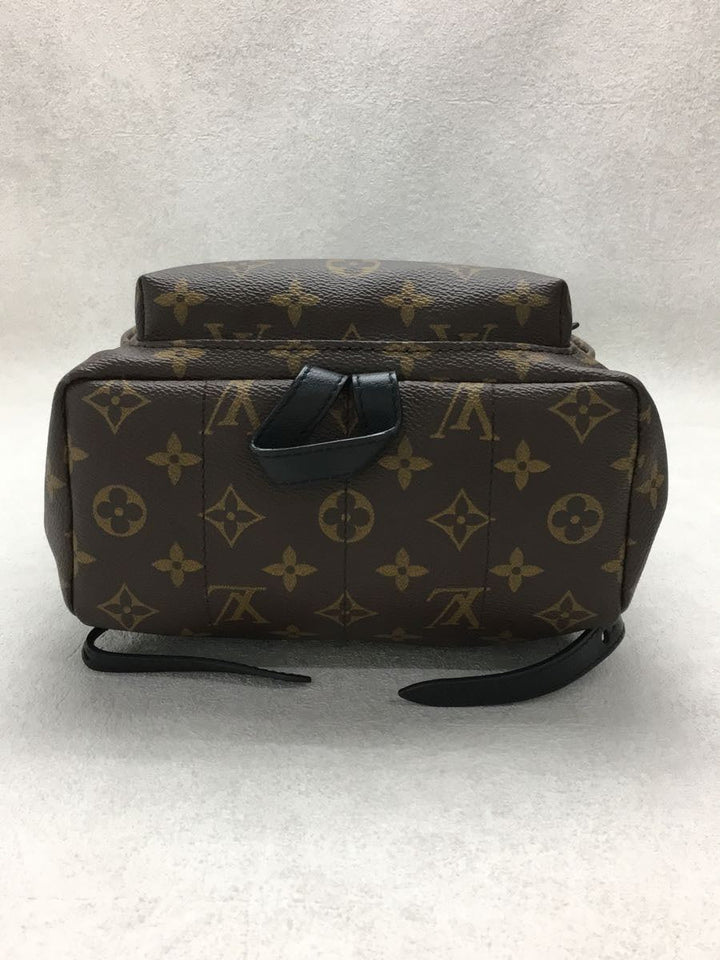Louis Vuitton Palm Springs Backpack PM Monogram Brown