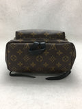 Louis Vuitton Palm Springs Backpack PM Monogram Brown