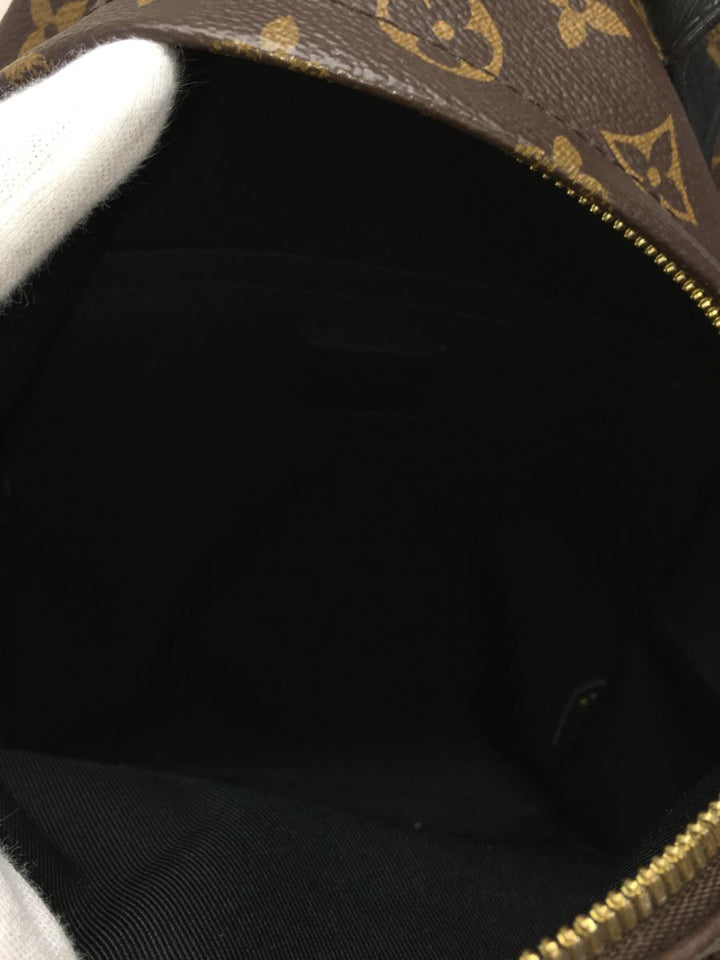 Louis Vuitton Palm Springs Backpack PM Monogram Brown