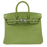 Hermes25cm Birkin Jaune Bourgeon Matte Alligator Palladium Hardware