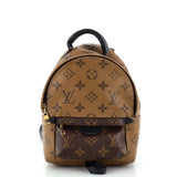 Louis Vuitton Palm Springs Backpack Reverse Monogram Canvas Mini