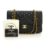 Chanel Double Flap Quilted Leather Bag