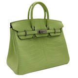 Hermes25cm Birkin Jaune Bourgeon Matte Alligator Palladium Hardware
