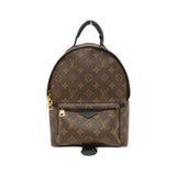 Louis Vuitton Palm Springs Monogram Backpack
