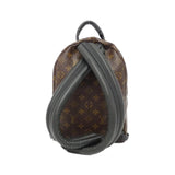 Louis Vuitton Palm Springs Monogram Backpack