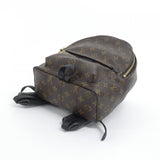 Louis Vuitton Palm Springs Monogram Backpack