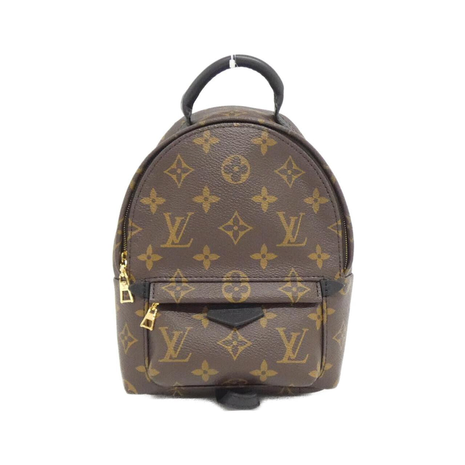 Louis Vuitton Palm Springs Monogram Backpack