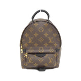 Louis Vuitton Palm Springs Monogram Backpack