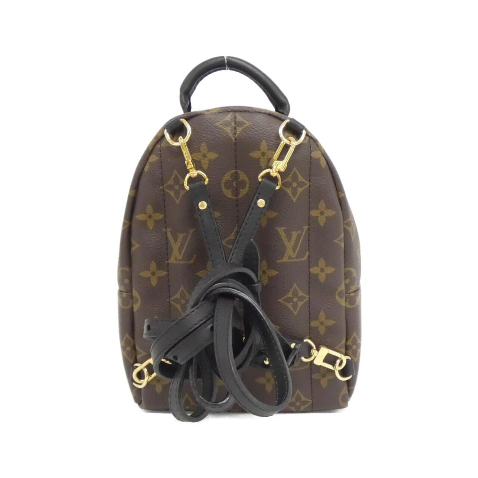 Louis Vuitton Palm Springs Monogram Backpack