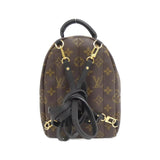 Louis Vuitton Palm Springs Monogram Backpack