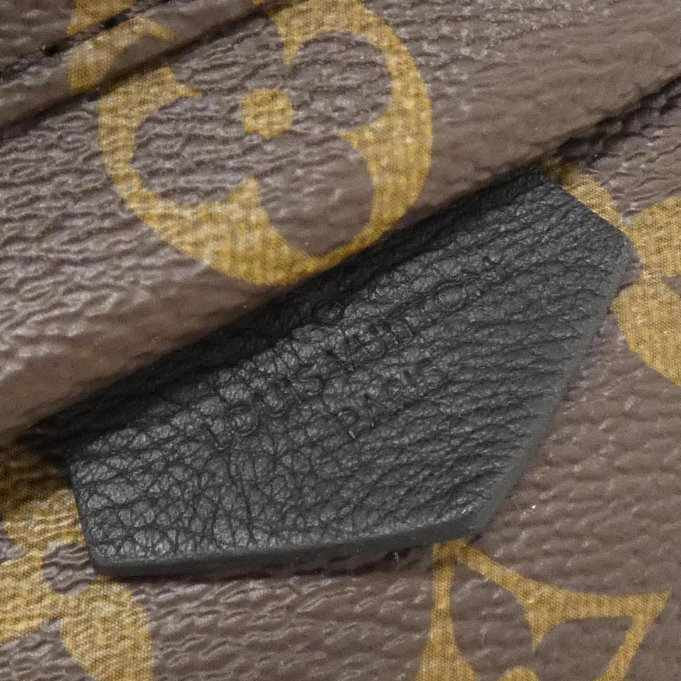 Louis Vuitton Palm Springs Monogram Backpack