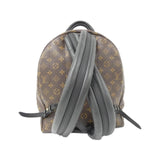 Louis Vuitton Palm Springs Monogram Backpack