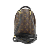 Louis Vuitton Palm Springs Monogram Backpack