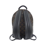 Louis Vuitton Palm Springs Monogram Backpack