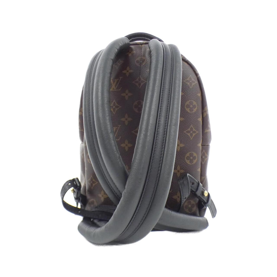 Louis Vuitton Palm Springs Monogram Backpack