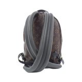 Louis Vuitton Palm Springs Monogram Backpack