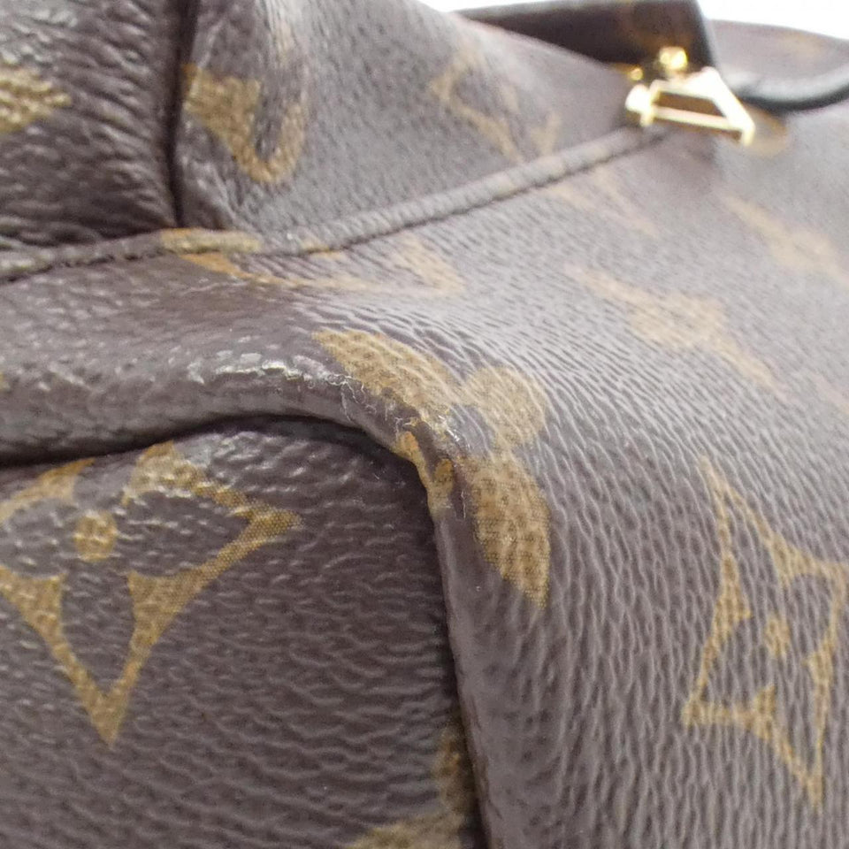 Louis Vuitton Palm Springs Monogram Backpack