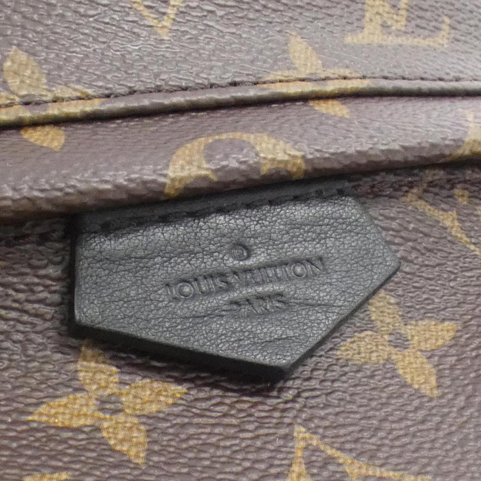 Louis Vuitton Palm Springs Monogram Backpack